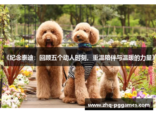 《纪念泰迪:回顾五个动人时刻,重温陪伴与温暖的力量》 《纪念泰迪:回顾五个动人时刻,重温陪伴与温暖的力量》