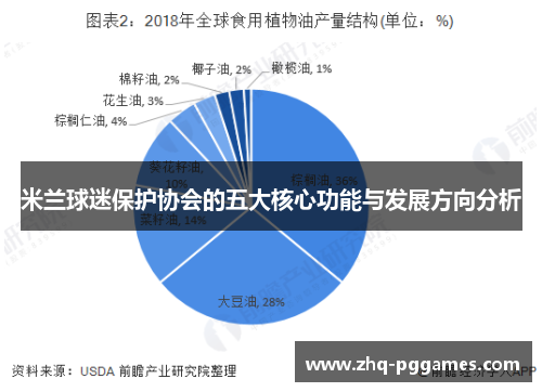 米兰球迷保护协会的五大核心功能与发展方向分析 米兰球迷保护协会的五大核心功能与发展方向分析
