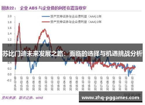 苏比门迪未来发展之路:面临的选择与机遇挑战分析 苏比门迪未来发展之路:面临的选择与机遇挑战分析