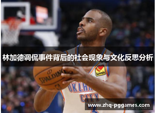 林加德调侃事件背后的社会现象与文化反思分析